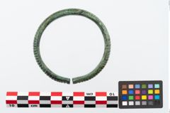 Foto von Bronzearmreif (NHMW-PRAE-024543)